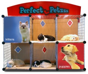 Perfect Petzzz Sales Kennel